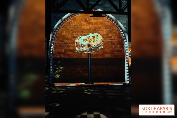 Dinosaures : l'expérience immersive qui nous fait remonter le temps à l'Atelier des Lumières, photos - fotor 1764680952521