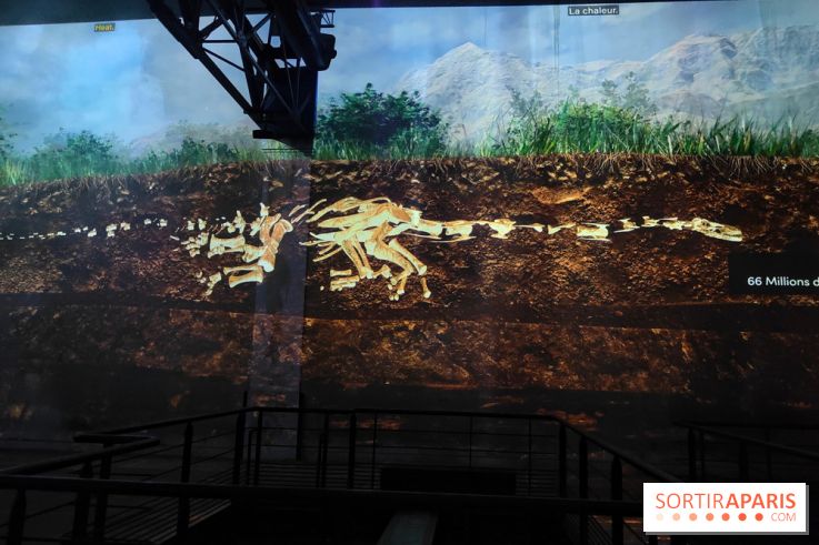 Dinosaures : l'expérience immersive qui nous fait remonter le temps à l'Atelier des Lumières, photos - fotor 1764680878280