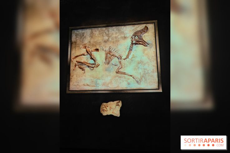 Dinosaures : l'expérience immersive qui nous fait remonter le temps à l'Atelier des Lumières, photos - fotor 1764680829041