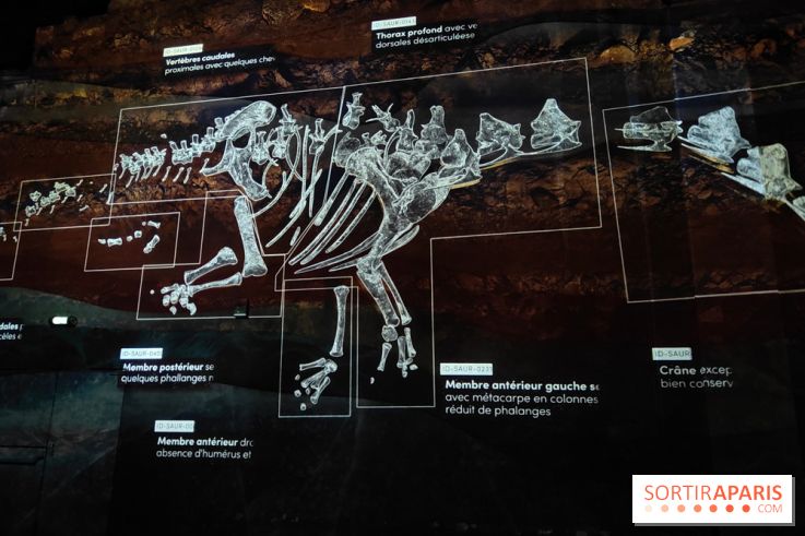 Dinosaures : l'expérience immersive qui nous fait remonter le temps à l'Atelier des Lumières, photos - fotor 1764680808767