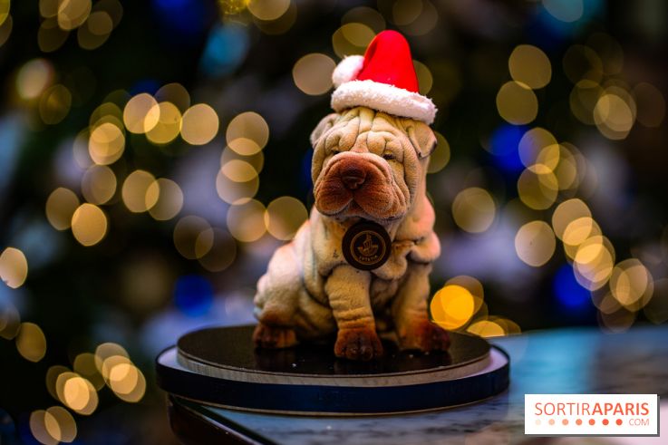 Tea time de Noël du Mandarin Lutetia 2025 par Nicolas Guercio - photos - Lulu de Noël