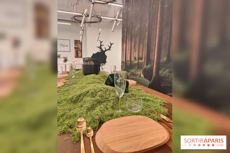 Noël danois à la Maison du Danemark : un voyage culturel pour les fêtes sur les Champs-Elysées - fotor 1764846614302