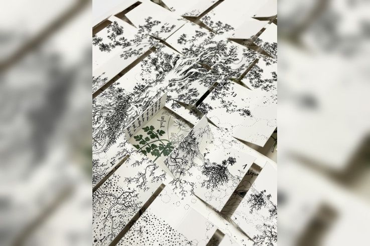 Marché de Noël des Créateurs à Colombes - Calendrier de l'avent illustré plantes sauvauges comestibles 3