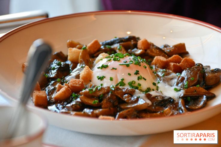 Maison François 1er, un bistrot de quartier au cœur du triangle d'or à Paris