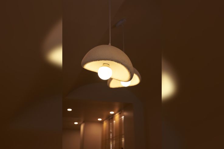 Campagne #36164 -  DSC7267