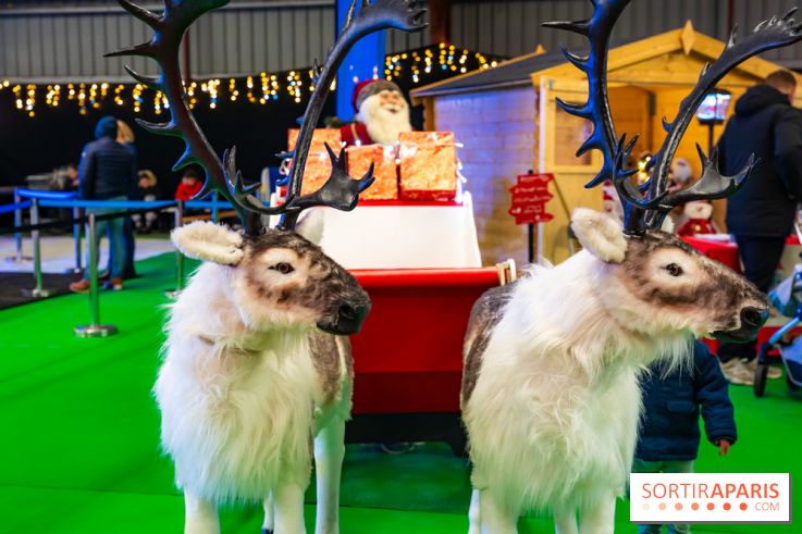 Le Marché de Noël d'Elancourt dans les Yvelines 2025 - photos  - A7C02502