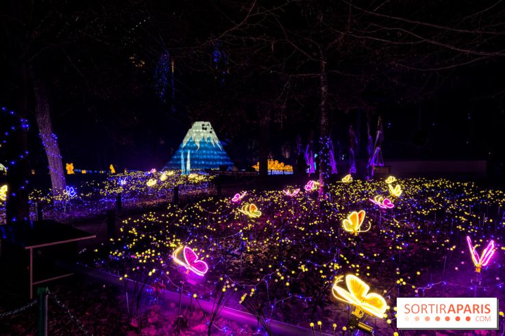 Le Japon en Lumières : le parcours lumineux et festival des lanternes 2025 du Jardin d'Acclimatation - IMG 4966