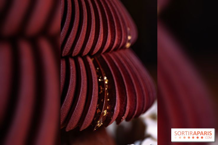 Bûche de Noël Cheval Blanc 2025 : Maxime Frédéric dévoile un sapin exceptionnel - photos