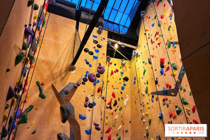 Annette K. Montparnasse - IMG 1848