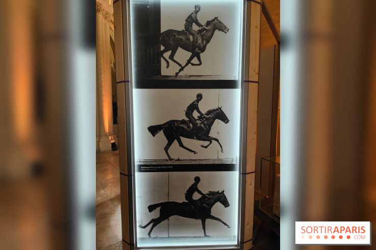 Zeus, chef d'œuvre d'artisans : une exposition sur le cheval des JO au musée des Arts et Métiers