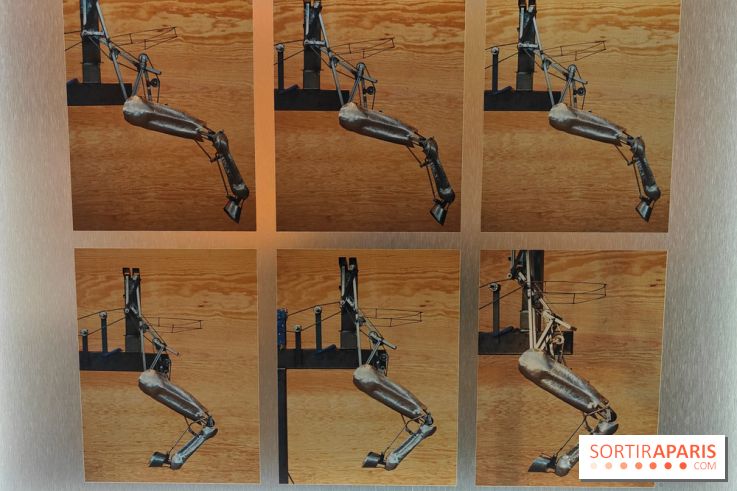 Zeus, chef d'œuvre d'artisans : une exposition sur le cheval des JO au musée des Arts et Métiers - fotor 1765963901910