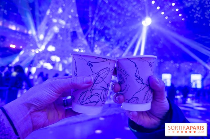 Le Grand Palais des Glaces 2025 - les photos - IMG 8111