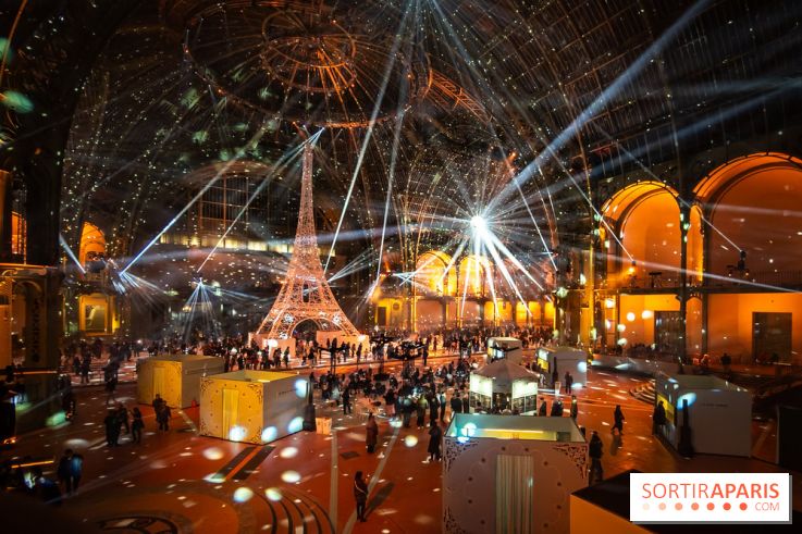 Le Grand Palais des Glaces 2025 - les photos - IMG 8121