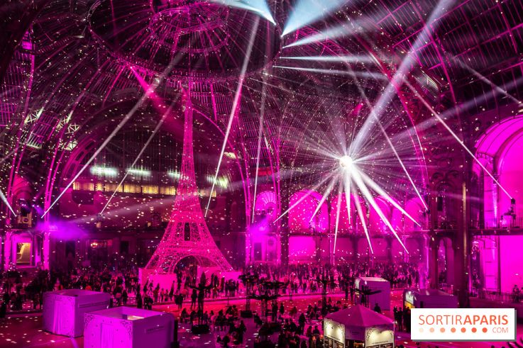 Le Grand Palais des Glaces 2025 - les photos - IMG 8137