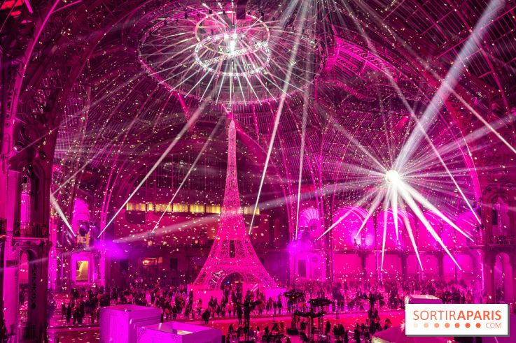 Le Grand Palais des Glaces 2025 - les photos