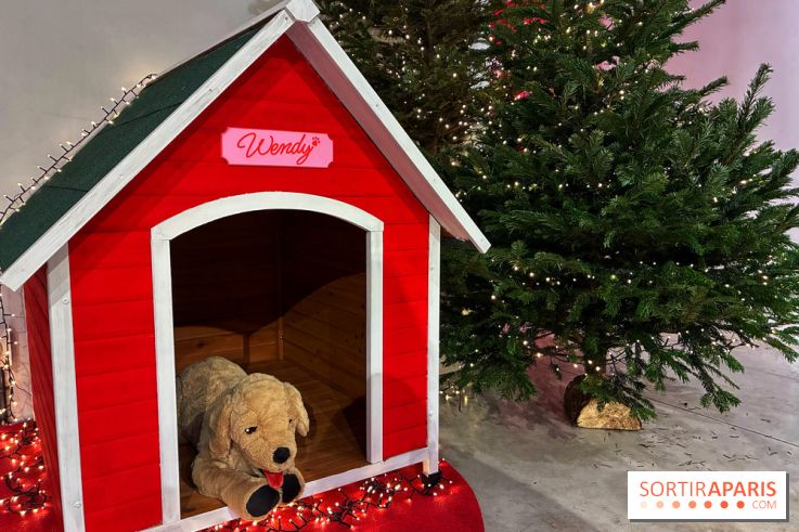 L'Appart de Noël Star Academy  - IMG 1910