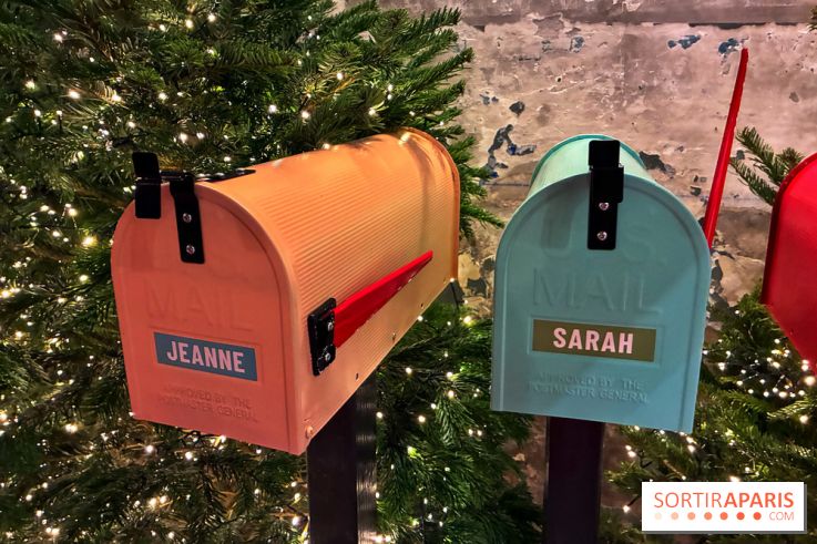 L'Appart de Noël Star Academy  - IMG 1975