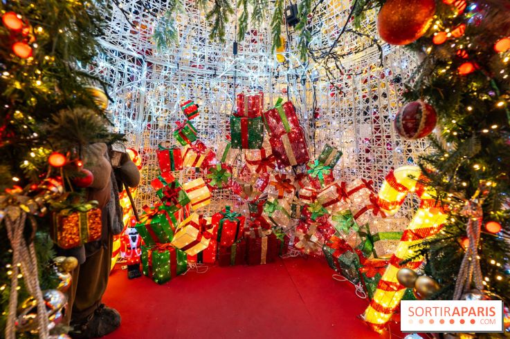 Ce passionné en Essonne transforme son jardin en Village de Noël à visiter gratuitement