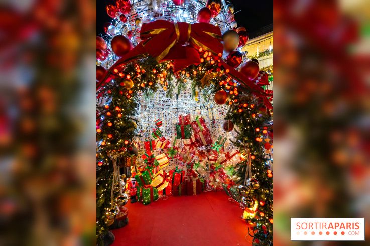 Ce passionné en Essonne transforme son jardin en Village de Noël à visiter gratuitement