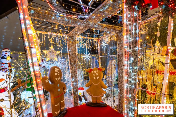 Ce passionné en Essonne transforme son jardin en Village de Noël à visiter gratuitement