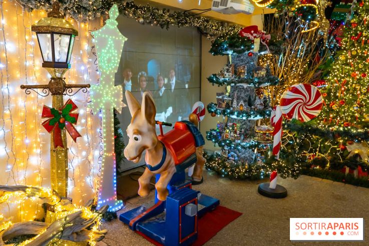 Ce passionné en Essonne transforme son jardin en Village de Noël à visiter gratuitement