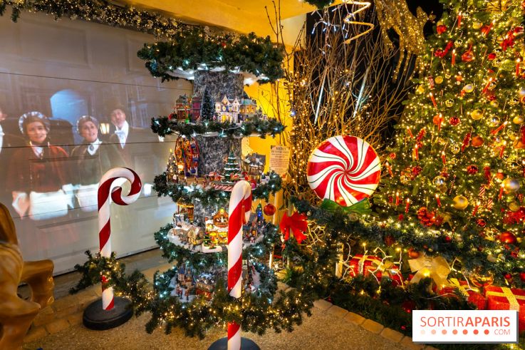 Ce passionné en Essonne transforme son jardin en Village de Noël à visiter gratuitement