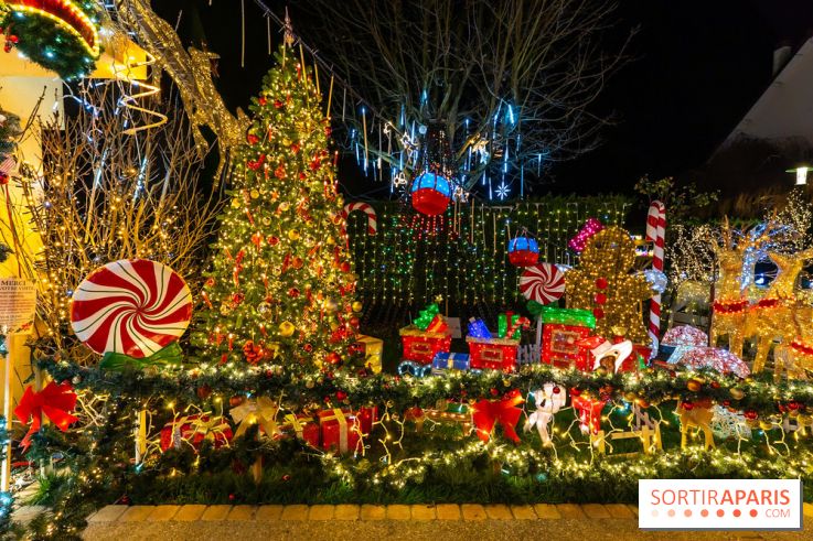 Ce passionné en Essonne transforme son jardin en Village de Noël à visiter gratuitement