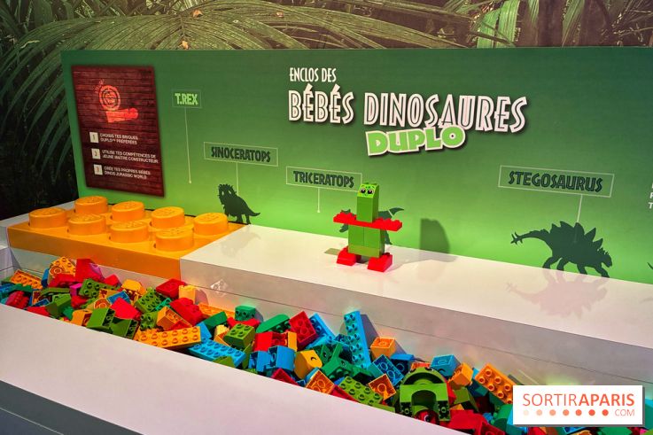 Dinosaures LEGO - IMG 2013