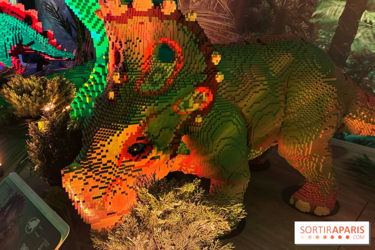 Dinosaures LEGO - IMG 2009