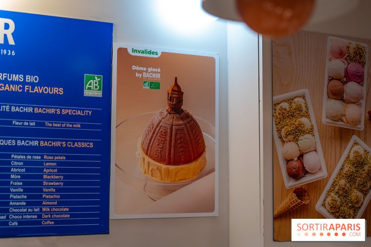 Les bûches de Noël glacées de Bachir spécial dômes parisiens  - A7C03255