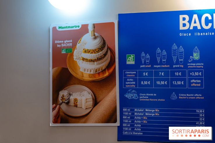 Les bûches de Noël glacées de Bachir spécial dômes parisiens  - A7C03256