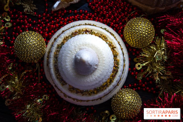 Les bûches de Noël glacées de Bachir spécial dômes parisiens  - A7C03428