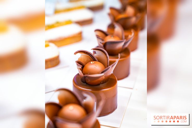 La galette des rois 2026 de la Pâtisserie Fine à Versailles dans les Yvelines - A7C03686