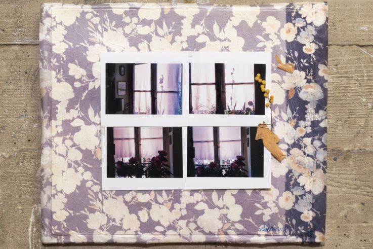 Lettres du quotidien : exposition de Malak et Mona Varichon  - Malak El Zanaty Varichon,  Vie et mort de l’iris bleu de l’été 2010 à Paris , 2021  Matrices & multiples , The Vanity Gallery (cur. Asha Schechter), Los Angeles CA, 2021