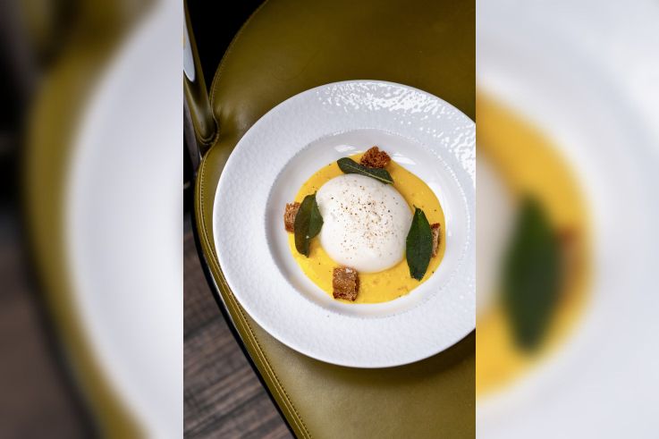 Abstinence - L1560256 copy