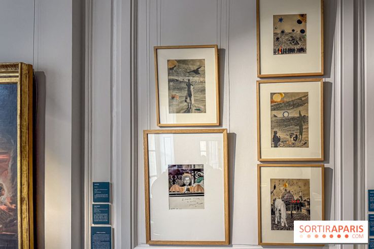 Claude Simon au Musée Lambinet : nos photos de l'exposition à Versailles - IMG 2925