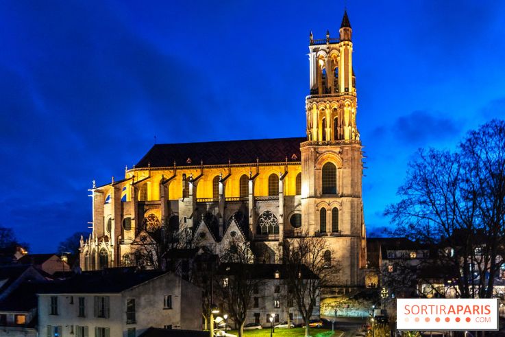 Lueurs de Mantes 2026, les photos du parcours lumineux gratuit des Yvelines
