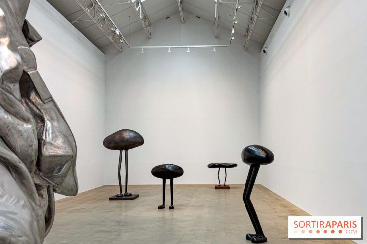 Erwin Wurm - Tomorrow yes : l'exposition gratuite à la galerie Thaddaeus Ropac, à Pantin (93) - IMG 9179