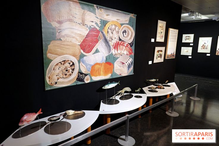 I love Sushi, nos photos de l'exposition à la Maison de la culture du Japon