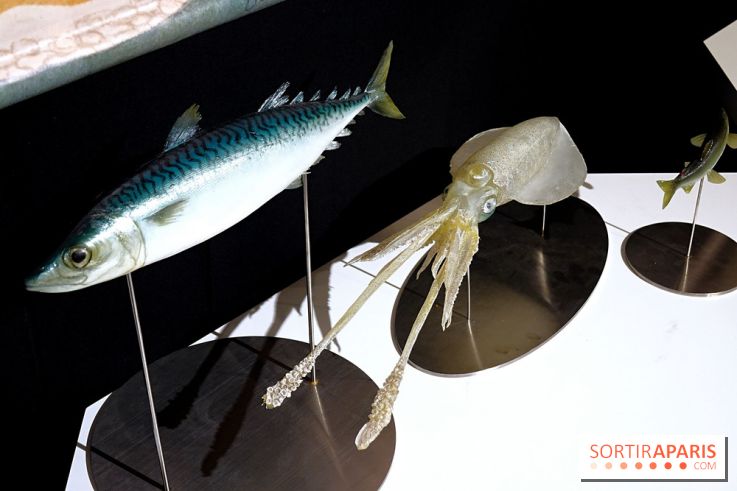 I love Sushi, nos photos de l'exposition à la Maison de la culture du Japon