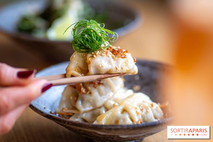 Vesper, le restaurant japonais Paris 7e, façon izakaya - A7C04095