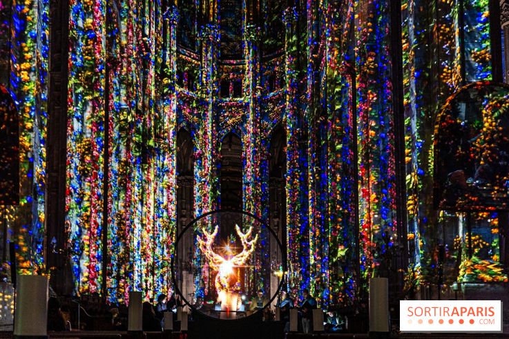 L'Odyssée Céleste à l'église Saint-Eustache à Paris, le nouveau spectacle Luminiscence 