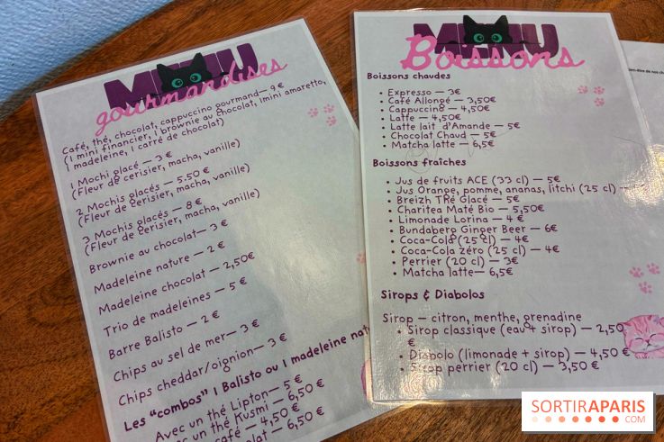 Le Chatelier  - IMG 2469