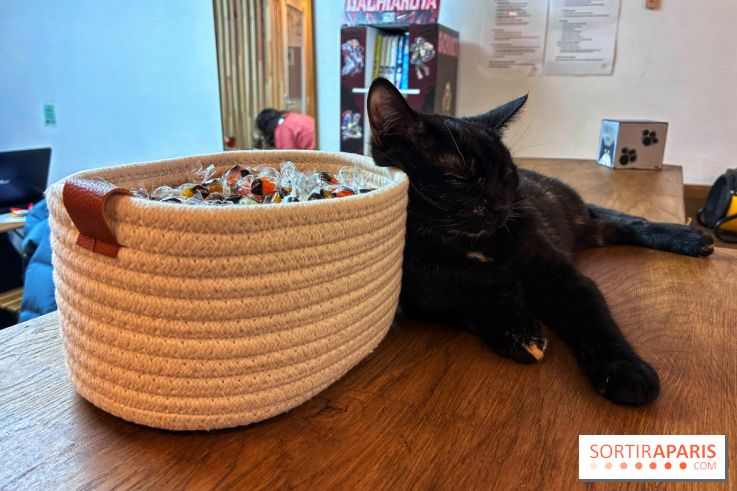 Le Chatelier  - IMG 2470