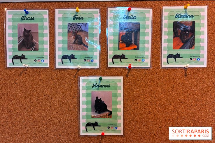 Le Chatelier  - IMG 2472