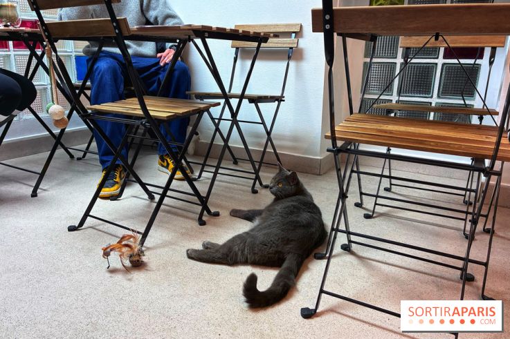 Le Chatelier  - IMG 2473