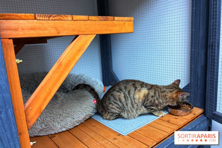 Le Chatelier  - IMG 2474