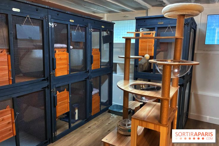 Le Chatelier  - IMG 2476