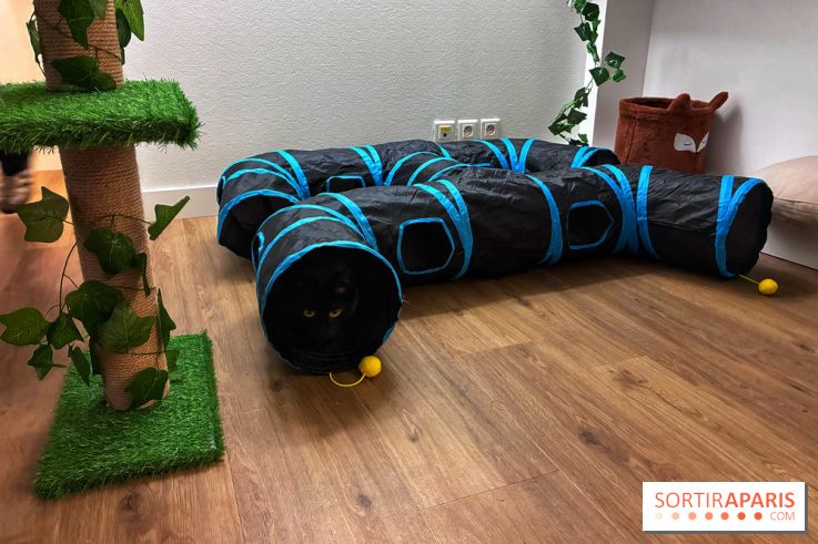 Le Chatelier  - IMG 2482