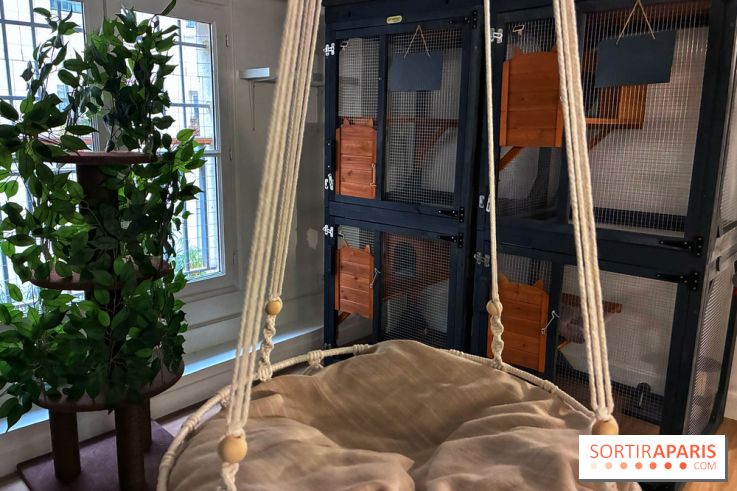 Le Chatelier  - IMG 2483